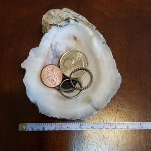 Oyster shell ring/change holder